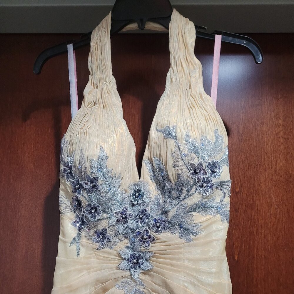 Blush Prom 9368 Size 2 Champagne Prom Dress - Picture 7 of 12